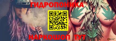 мяу мяу мука Заводоуковск