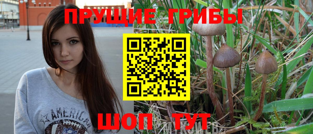 Псилоцибиновые грибы Cubensis Лангепас